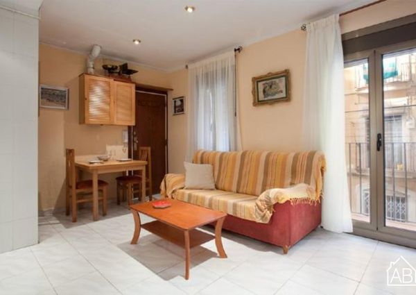 Comfortable apartment situated right next to the beach