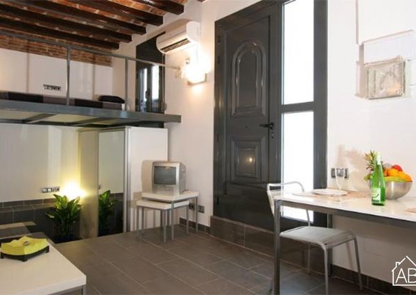 Quirky Loft Apartment in the Barceloneta Neighbourhood
