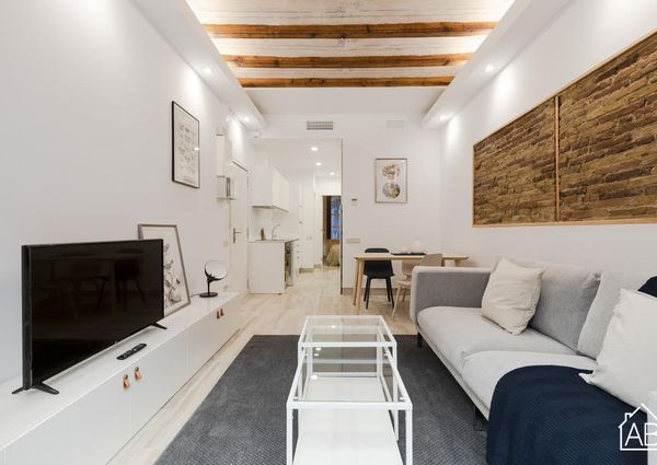 Delightful Two Bedroom Apartment Between Eixample And El Raval Neighbourhood