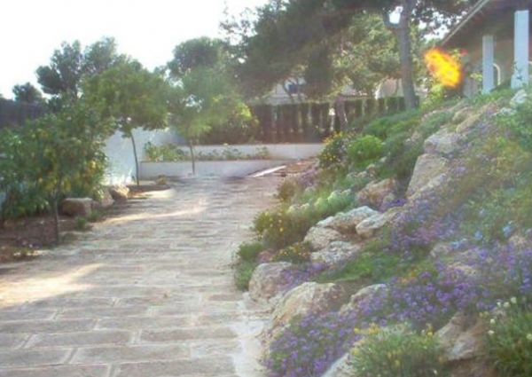 Charming house in sol de Mallorca for long term rental