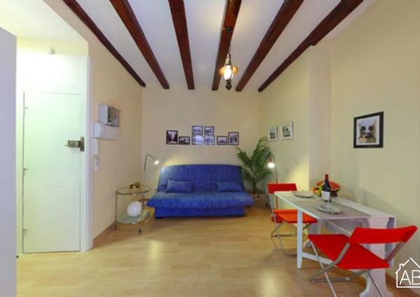 Comfortable apartment for four people in the Barceloneta area