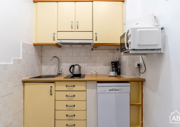 Cozy three-bedroom apartment on Las Ramblas