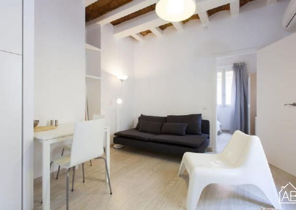 One bedroom Barceloneta beach apartment