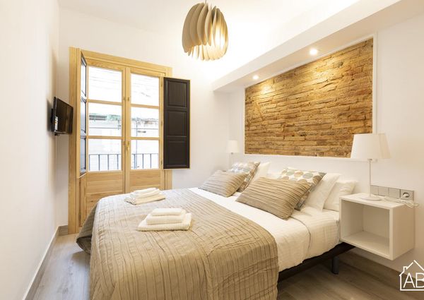 Stunning Two Bedroom Apartment Between Eixample And El Raval Neighbourhood