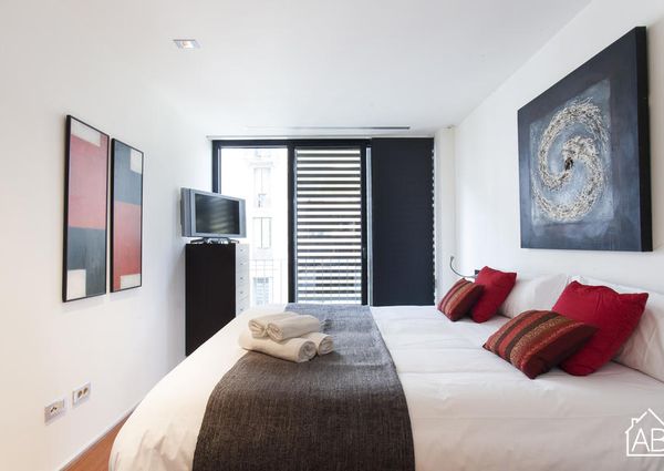 Elegant apartment on Passeig de Gràcia