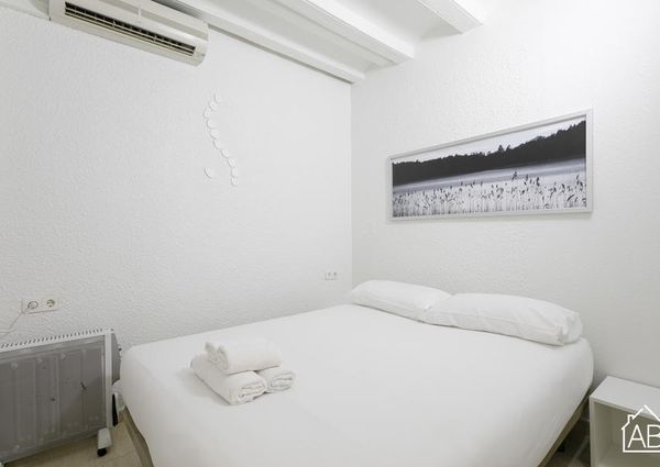 Cosy apartment in the Barceloneta area