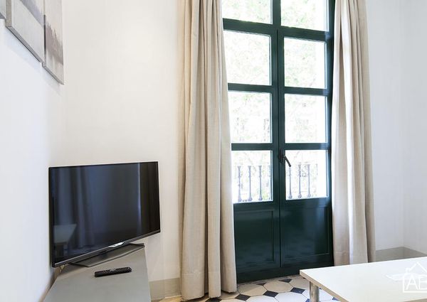 Lovely 2-bedroom Apartment in El Born