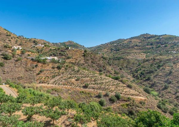Country Property in Sayalonga, Andalucia, Natural Park of the Sierras Tejeda and Almijara