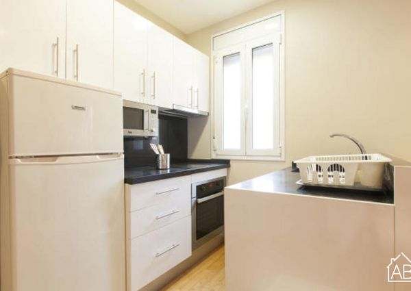 Modern, two bedroom beach apartment for rent