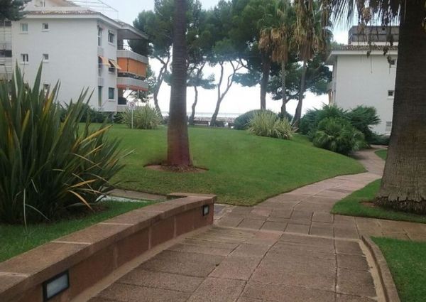 Apartment close to the beach in portals to rent