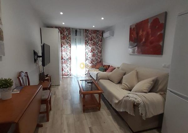 NICE APARTMENT FOR RENT FROM NOW -30/6/2023 AND FROM 1/9/2023 TO 30/6/2024 IN LA CARIHUELA (TORREMOLINOS)