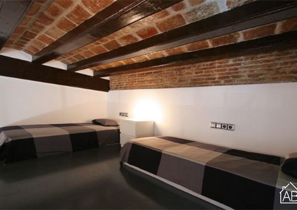 Quirky Loft Apartment in the Barceloneta Neighbourhood