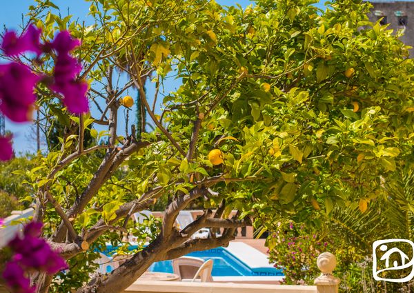 Rent villa LANAI