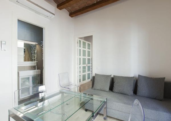Modern, two bedroom apartment for rent, right by the beach