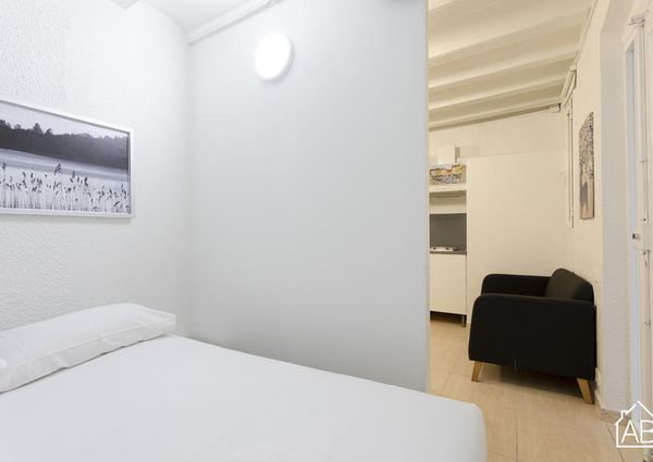 Cosy apartment in the Barceloneta area