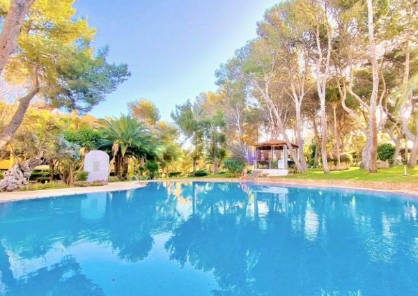 Two bedroom apartment with sea access to rent