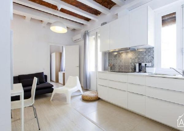 One bedroom Barceloneta beach apartment
