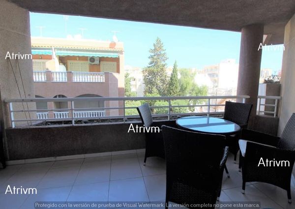 Long Term Rentals · Apartment · Spain ·  · Torrevieja