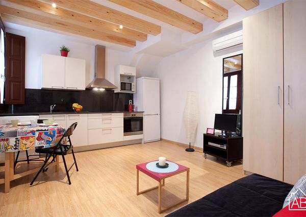 Fantastic Barcelona apartment for four people in sunny Barceloneta