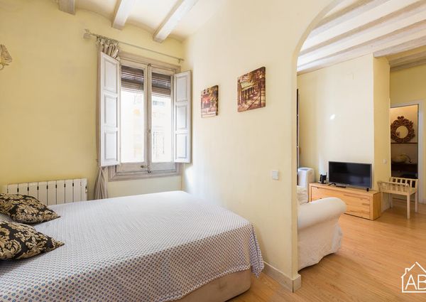 Charming Apartment with a Balcony, just steps away from Passeig Marítim