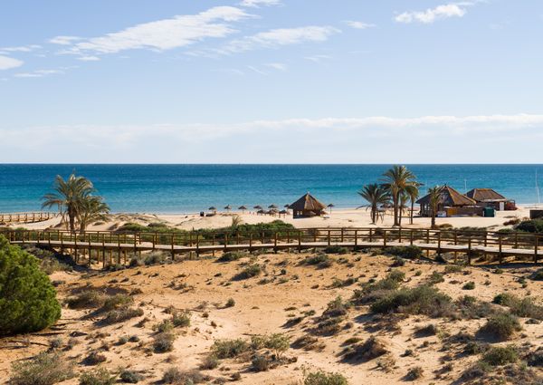 Arenales del sol · Arenales del Sol Apartment · Long Rental Period