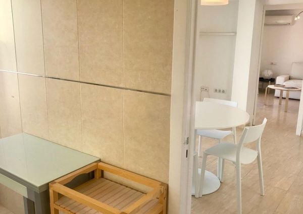 Two bedroom penthouse in Santa Catalina for rent
