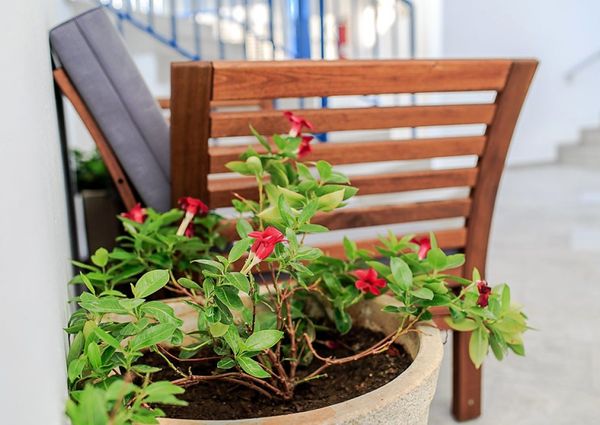 Apartment to rent in Sea Breeze, Puerto Rico, Barranco Agua La Perra, Gran Canaria with sea view
