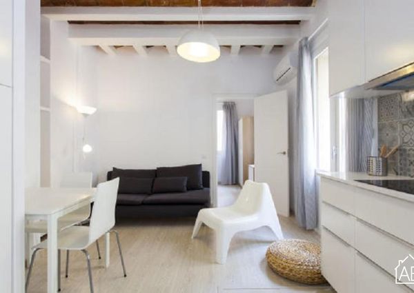 One bedroom Barceloneta beach apartment