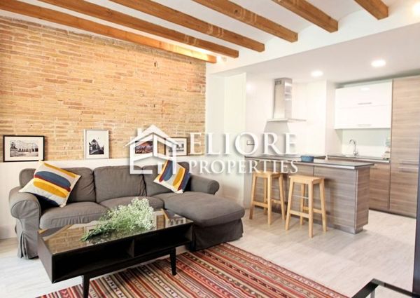 Cozy renovated apartment right next to Portal del Angel