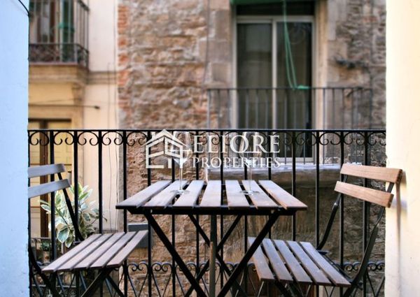 Renovated apartment right next to Plaça de Sant Jaume!