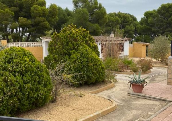 Luxury Villa For Rent Long Term Altea El Planet