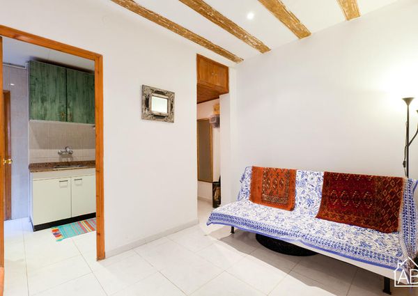 Lovely beach apartment in Barceloneta for rent