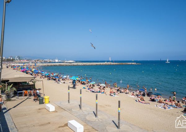 Stylish apartment for 3 people on Barceloneta beach