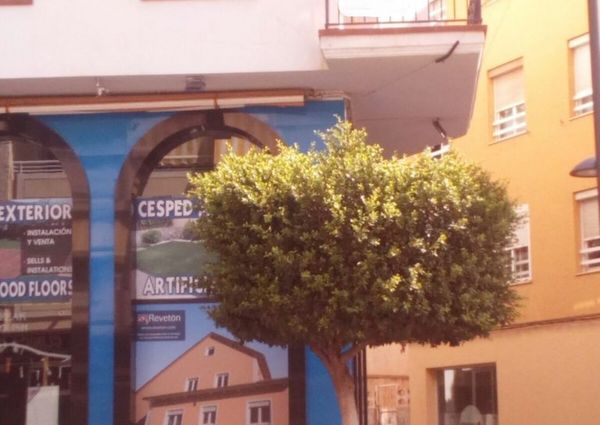 2 bed apartment Long Term Rental Central Alfaz Del Pi