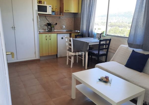Penthouse in santa ponsa for rent