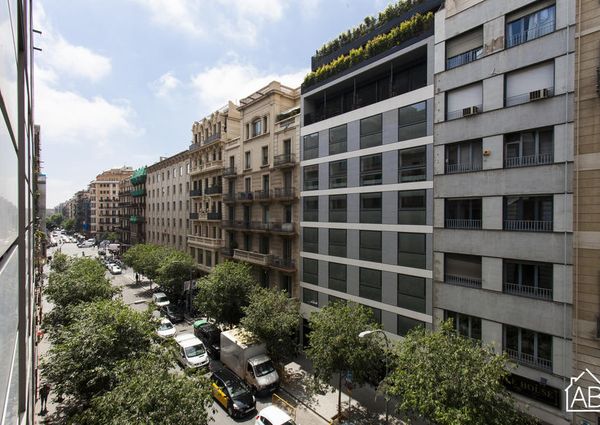 Elegant apartment on Passeig de Gràcia