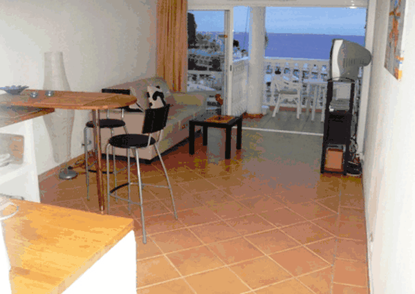 Apartment for Rent  in Puerto Mogan