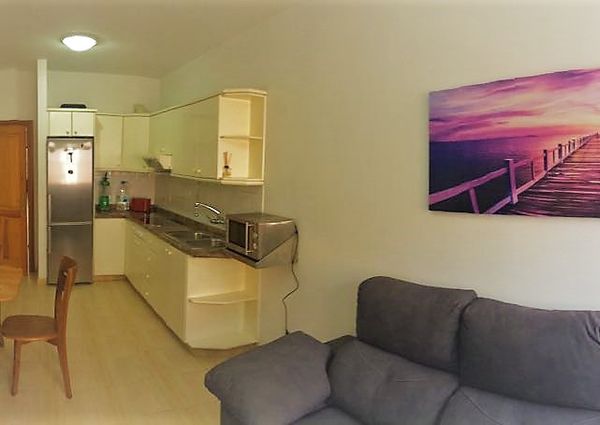 Spacious apartment close to all services, in Playa de Arinaga