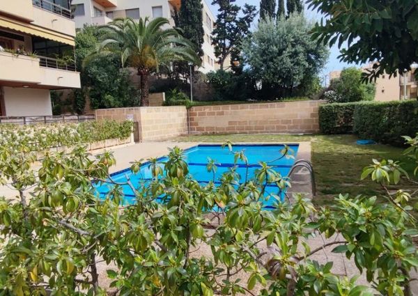 Two bedroom apartment in san augustin