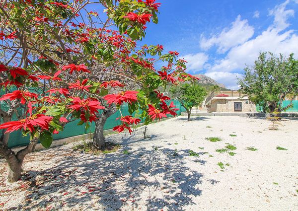 Se alquila chalet en Calpe