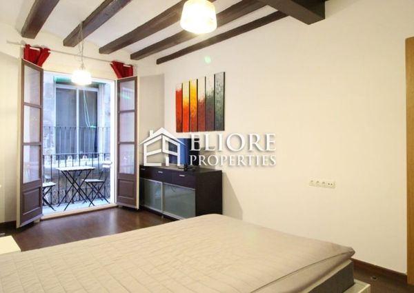 Renovated apartment right next to Plaça de Sant Jaume!
