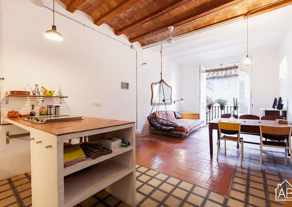 Fantastic Apartment in El Raval neighbourhood