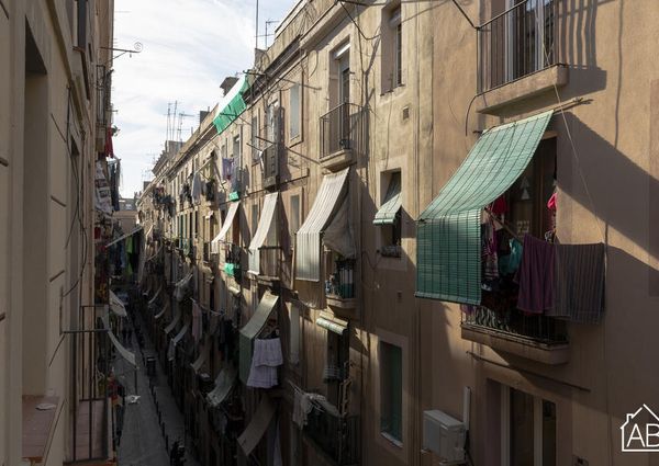 Bright two bedroom apartment near Las Ramblas