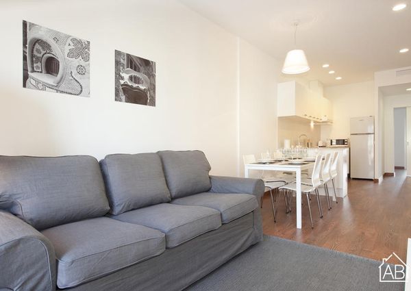 Spacious and bright three bedroom apartment next to Plaza Espanya
