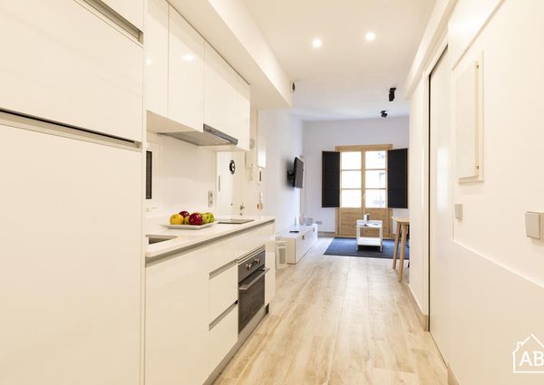 Sensational Three Bedroom Apartment Between Eixample And El Raval Neighbourhood