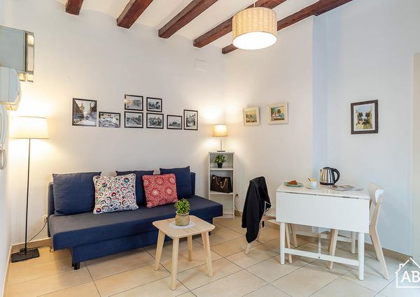Comfortable apartment for four people in the Barceloneta area
