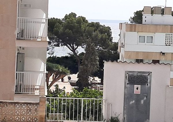 Apartment in palmanova to rent