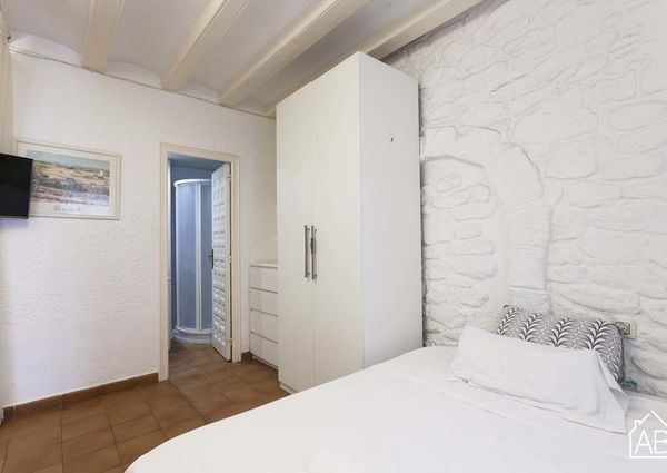 Basic apartment in the Barceloneta area
