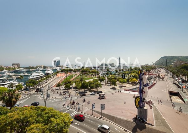 Bright and Beautifully Renovated 3 Bedroom Apartment near Port Vell