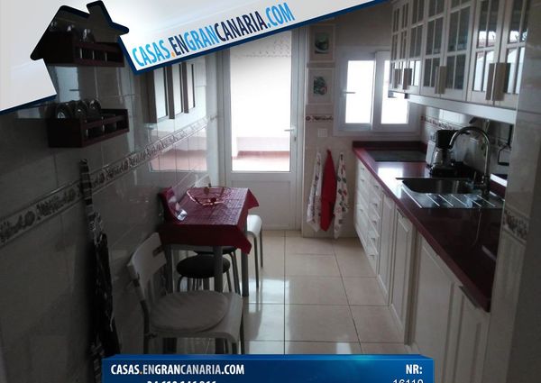 Bungalow for Rent in Campo Internacional